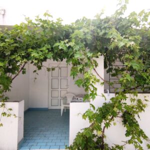 Apartment 6